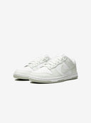 Nike Dunk Low GS DN1431 102