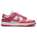 NIKE DUNK LOW DD1503 111
