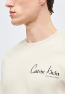 CALVIN KLEIN T-SHIRT LV14RF802G 2JX