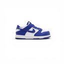 Nike Dunk low FB9107 106
