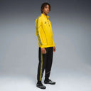 PUMA BORUSSIA DORTMUND 781688 01