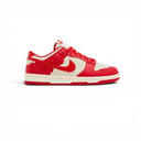 Nike Dunk low HF1986 100