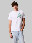 CALVIN KLEIN T-Shirt Uomo LV04RC832G YAA